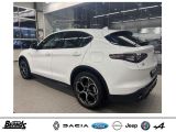 Alfa Romeo Stelvio bei Reisemobile.expert - Abbildung (8 / 15)