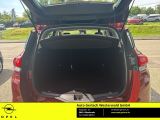 Renault Scenic bei Reisemobile.expert - Abbildung (15 / 15)