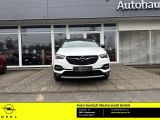 Opel Grandland X bei Reisemobile.expert - Abbildung (2 / 15)