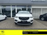 Opel Grandland X bei Reisemobile.expert - Abbildung (2 / 15)