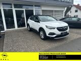 Opel Grandland X bei Reisemobile.expert - Abbildung (3 / 15)