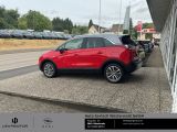 Opel Crossland X bei Reisemobile.expert - Abbildung (11 / 15) Opel Crossland X bei Reisemobile.expert - Abbildung (11 / 15)