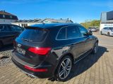 Audi SQ5 bei Reisemobile.expert - Abbildung (3 / 13) Audi SQ5 bei Reisemobile.expert - Abbildung (3 / 13)
