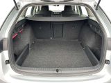 Skoda Octavia bei Reisemobile.expert - Abbildung (6 / 15)