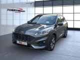 Ford Kuga bei Reisemobile.expert - Abbildung (2 / 15)