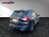 Ford Kuga bei Reisemobile.expert - Abbildung (4 / 15)