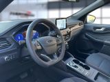 Ford Kuga bei Reisemobile.expert - Abbildung (13 / 15)