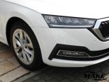 Skoda Octavia bei Reisemobile.expert - Abbildung (3 / 15)