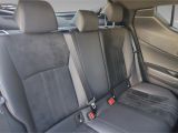 Toyota C-HR bei Reisemobile.expert - Abbildung (15 / 15)