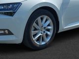 Skoda Superb bei Reisemobile.expert - Abbildung (2 / 15)