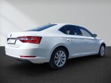 Skoda Superb bei Reisemobile.expert - Abbildung (5 / 15)