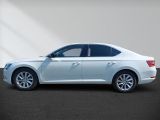Skoda Superb bei Reisemobile.expert - Abbildung (7 / 15)