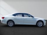 Skoda Superb bei Reisemobile.expert - Abbildung (4 / 15)