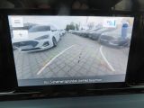 Ford Tourneo bei Reisemobile.expert - Abbildung (7 / 13)