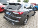Ford Kuga bei Reisemobile.expert - Abbildung (3 / 15)