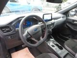 Ford Kuga bei Reisemobile.expert - Abbildung (5 / 15)