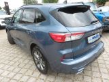 Ford Kuga bei Reisemobile.expert - Abbildung (2 / 15)