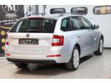 Skoda Octavia bei Reisemobile.expert - Abbildung (5 / 15)