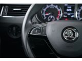 Skoda Octavia bei Reisemobile.expert - Abbildung (12 / 15)