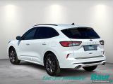 Ford Kuga bei Reisemobile.expert - Abbildung (5 / 15)