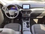 Ford Kuga bei Reisemobile.expert - Abbildung (6 / 15)