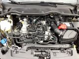 Ford Fiesta bei Reisemobile.expert - Abbildung (15 / 15)