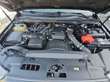 Ford Ranger bei Reisemobile.expert - Abbildung (14 / 15)