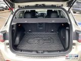 Jeep Compass bei Reisemobile.expert - Abbildung (14 / 15)