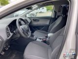 Seat Leon bei Reisemobile.expert - Abbildung (7 / 15)