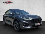 Ford Kuga bei Reisemobile.expert - Abbildung (3 / 15)