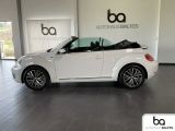 VW Beetle bei Reisemobile.expert - Abbildung (3 / 15)