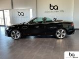 Audi A5 bei Reisemobile.expert - Abbildung (3 / 15)