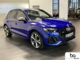 Audi SQ5 bei Reisemobile.expert - Abbildung (5 / 15)