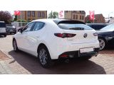 Mazda 3 bei Reisemobile.expert - Abbildung (5 / 15)
