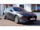 Mazda 3 bei Reisemobile.expert - Abbildung (6 / 15)