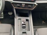 Cupra Leon bei Reisemobile.expert - Abbildung (14 / 15)