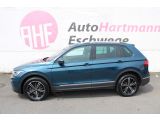 VW Tiguan bei Reisemobile.expert - Abbildung (2 / 10)