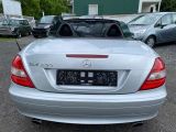 Mercedes-Benz SLK-Klasse bei Reisemobile.expert - Abbildung (11 / 15)