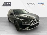 Hyundai Santa Fe bei Reisemobile.expert - Abbildung (4 / 9)