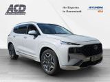 Hyundai Santa Fe bei Reisemobile.expert - Abbildung (7 / 15)