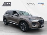 Hyundai Santa Fe bei Reisemobile.expert - Abbildung (3 / 15)