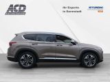 Hyundai Santa Fe bei Reisemobile.expert - Abbildung (4 / 15)