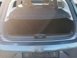 Renault Clio bei Reisemobile.expert - Abbildung (6 / 12)