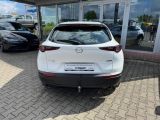 Mazda CX-30 bei Reisemobile.expert - Abbildung (7 / 10)