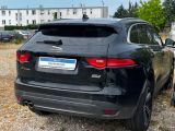 Jaguar F-Pace bei Reisemobile.expert - Abbildung (5 / 12)