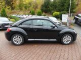 VW Beetle bei Reisemobile.expert - Abbildung (4 / 15) VW Beetle bei Reisemobile.expert - Abbildung (4 / 15)