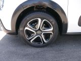 Citroen C3 bei Reisemobile.expert - Abbildung (3 / 11)