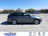Skoda Octavia bei Reisemobile.expert - Abbildung (4 / 10)