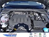 Skoda Octavia bei Reisemobile.expert - Abbildung (7 / 10)