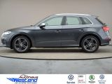 Audi SQ5 bei Reisemobile.expert - Abbildung (2 / 10)